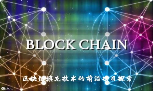 区块链填充技术的前沿项目探索