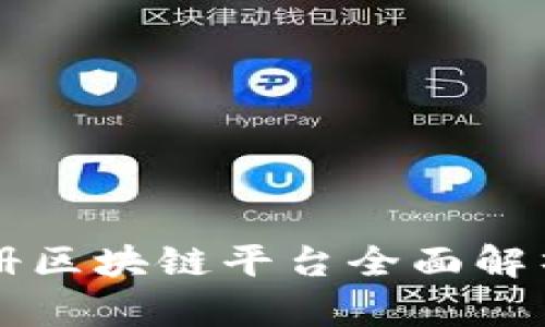 中国注册区块链平台全面解析与评估
